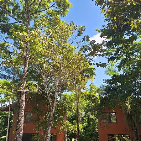 Corcovado Nature Wonders-Villas-Houses-Tents-Pool-Jacuzzi-Ac-Amazing Views Puerto Jimenez Exterior photo