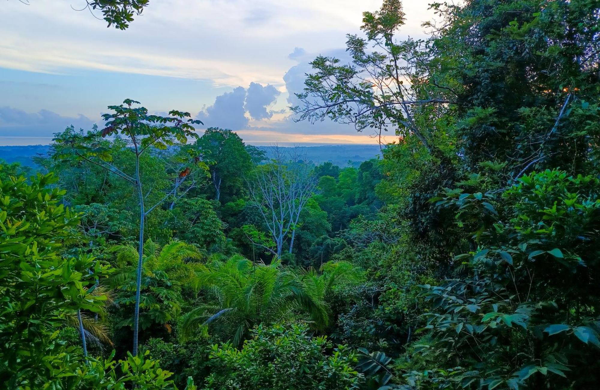 Villa Corcovado Nature Wonders-villas-houses-tents-pool-jacuzzi-ac-amazing Views *