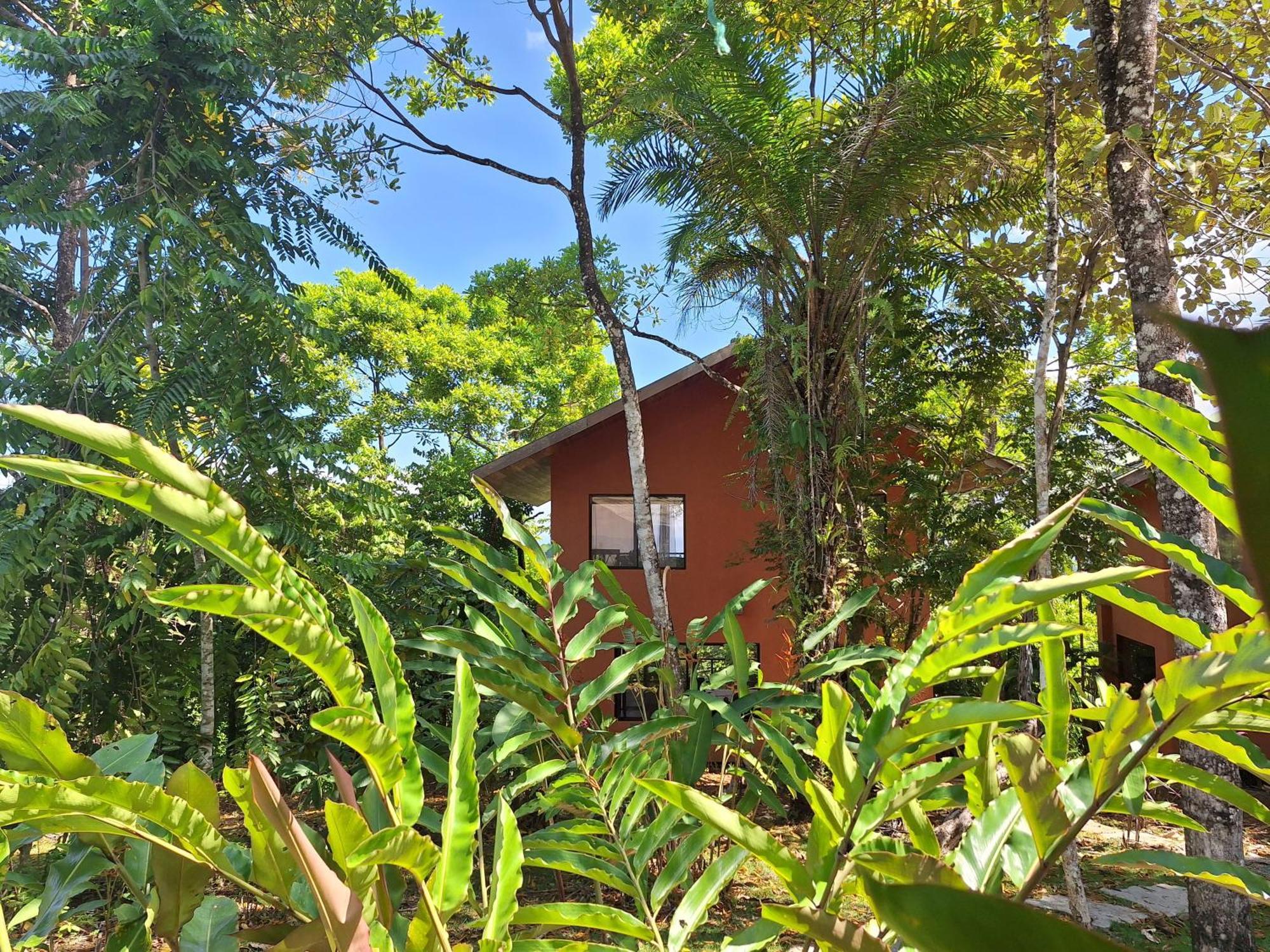 Corcovado Nature Wonders-villas-houses-tents-pool-jacuzzi-ac-amazing Views Villa