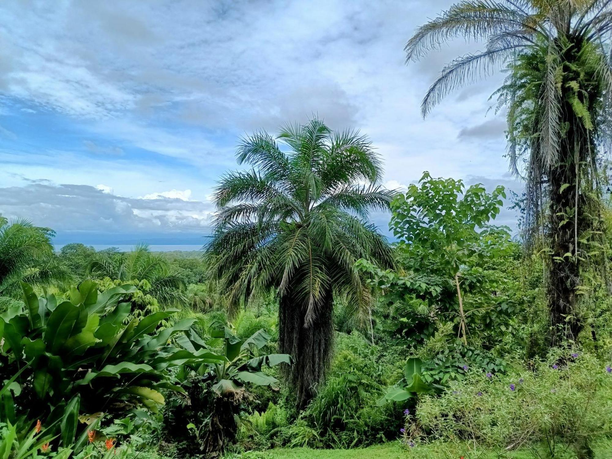 Villa Corcovado Nature Wonders-villas-houses-tents-pool-jacuzzi-ac-amazing Views