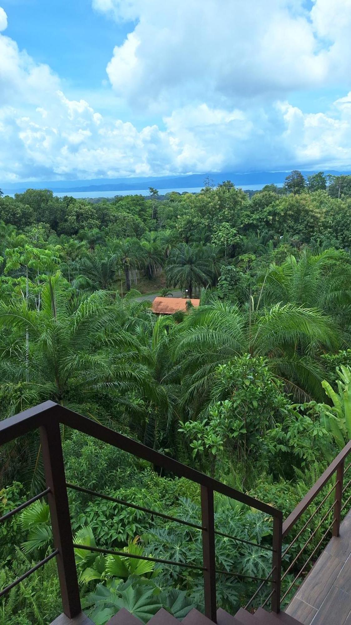 Corcovado Nature Wonders-villas-houses-tents-pool-jacuzzi-ac-amazing Views Villa