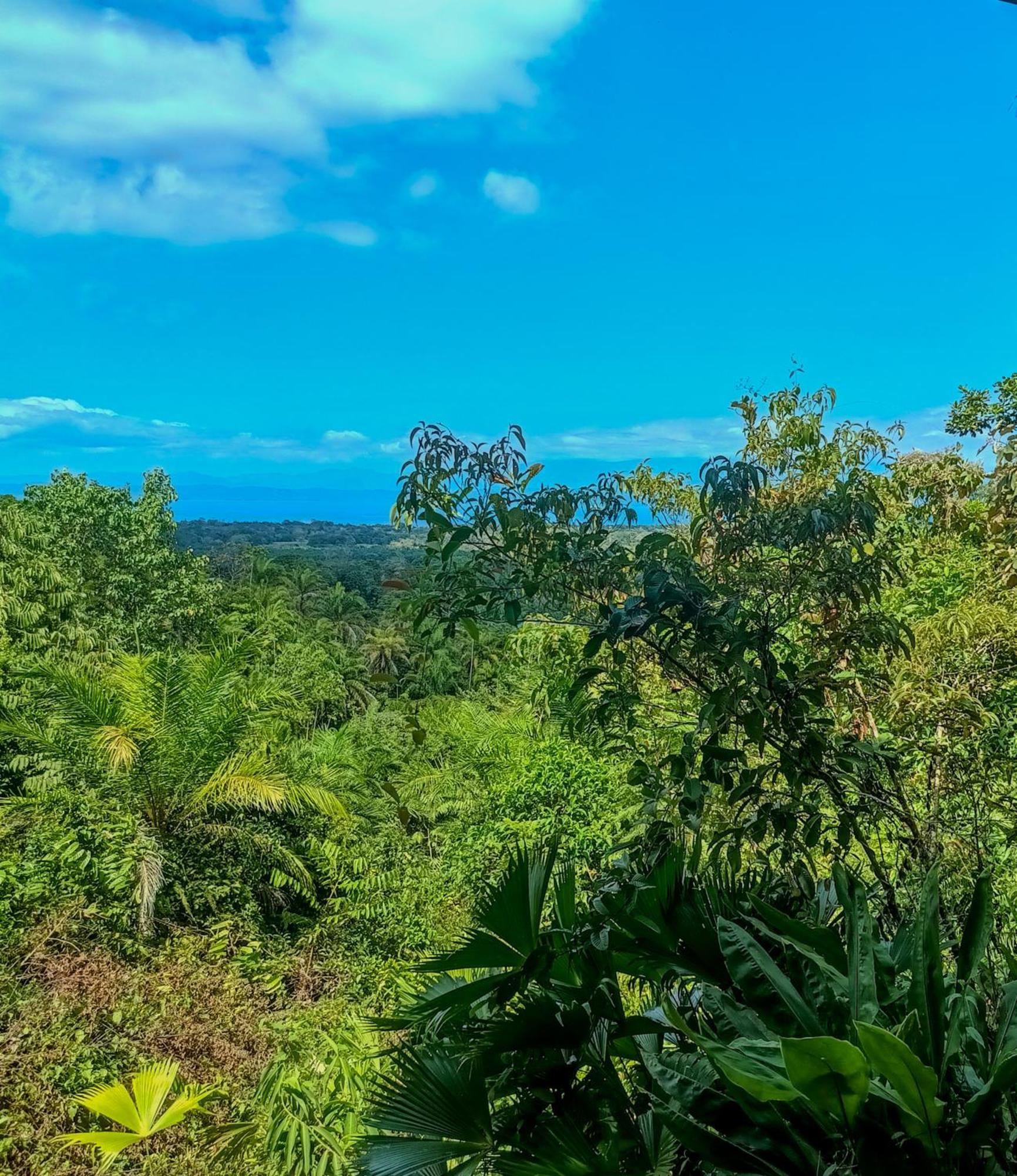 Corcovado Nature Wonders-villas-houses-tents-pool-jacuzzi-ac-amazing Views *