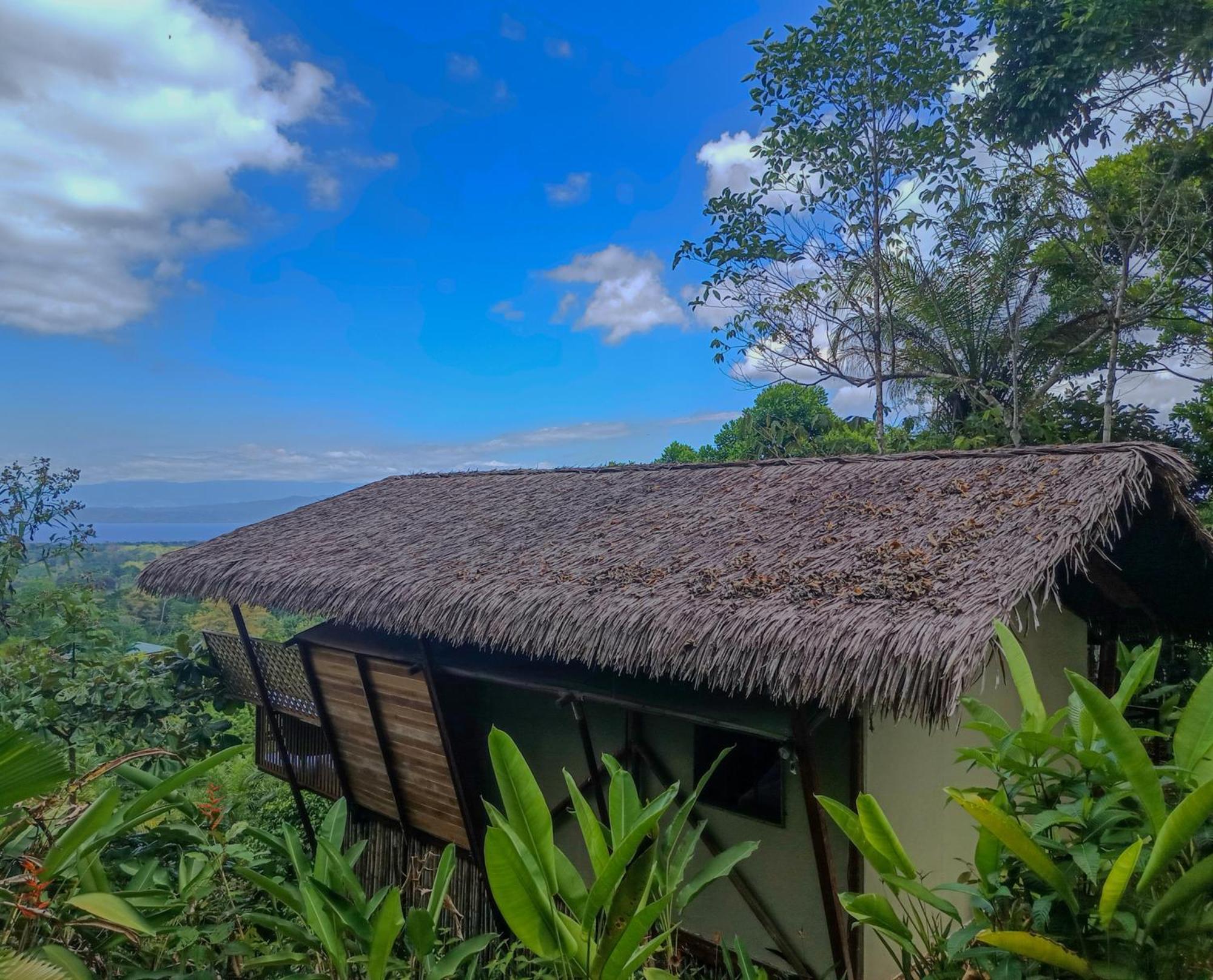 Corcovado Nature Wonders-villas-houses-tents-pool-jacuzzi-ac-amazing Views Villa