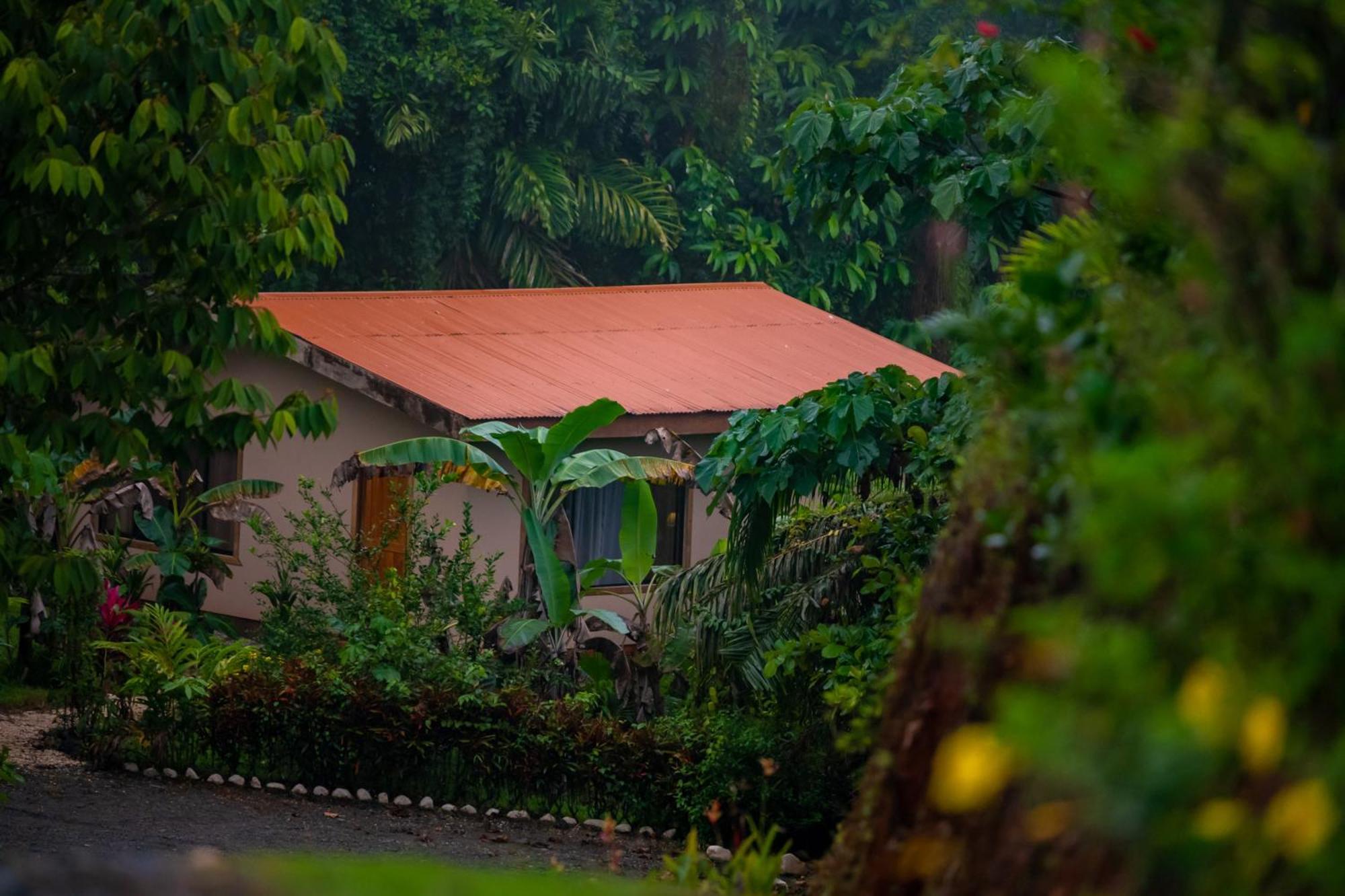 Corcovado Nature Wonders-villas-houses-tents-pool-jacuzzi-ac-amazing Views *