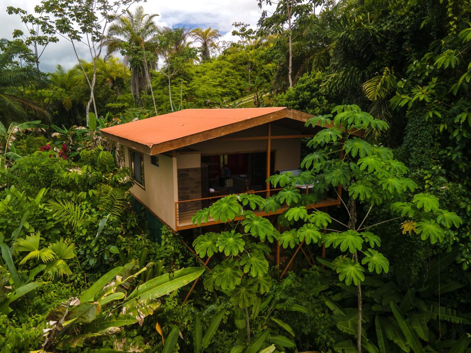 Corcovado Nature Wonders-villas-houses-tents-pool-jacuzzi-ac-amazing Views Puerto Jimenez