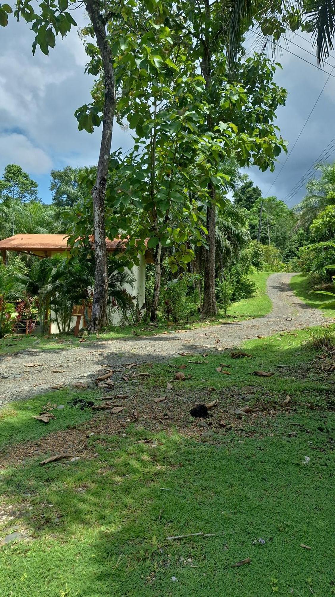 Corcovado Nature Wonders-villas-houses-tents-pool-jacuzzi-ac-amazing Views * Puerto Jimenez